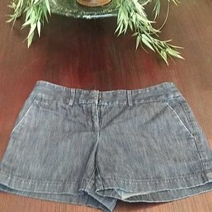 Anne Taylor Loft-The Riviera Short